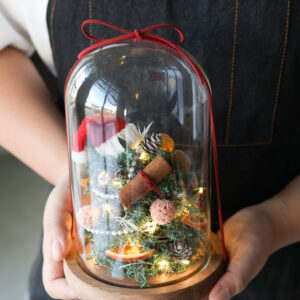 懶洋洋聖誕樹玻璃罩